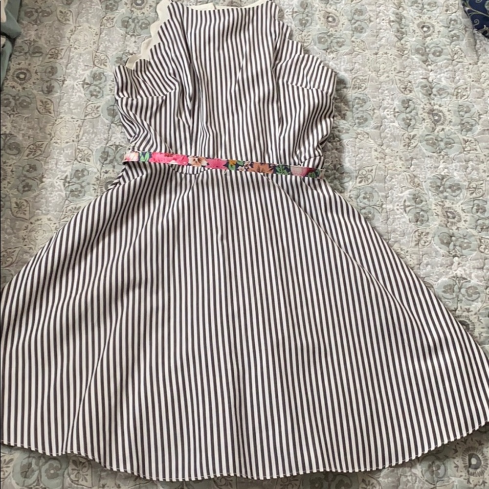Petite Women’s Dress